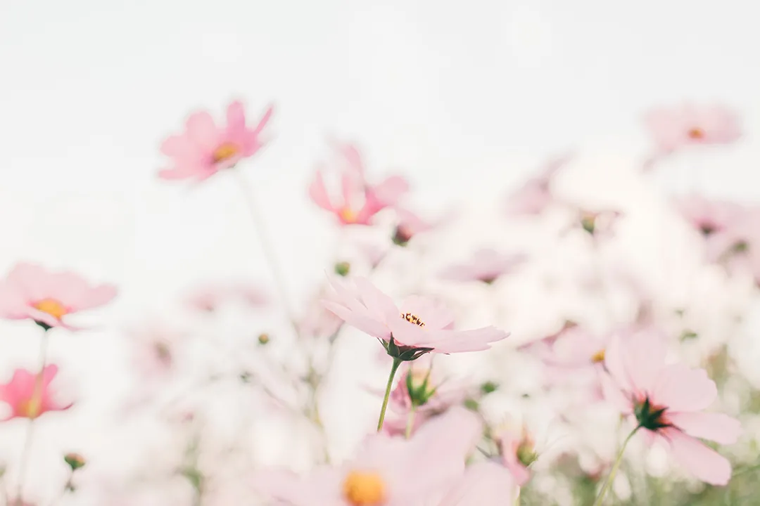 ��ҵ΢�Ž�ͼ_16406715796417.png